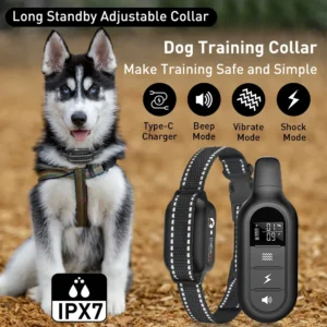 Paipaitek 1000M Dog Training Collar